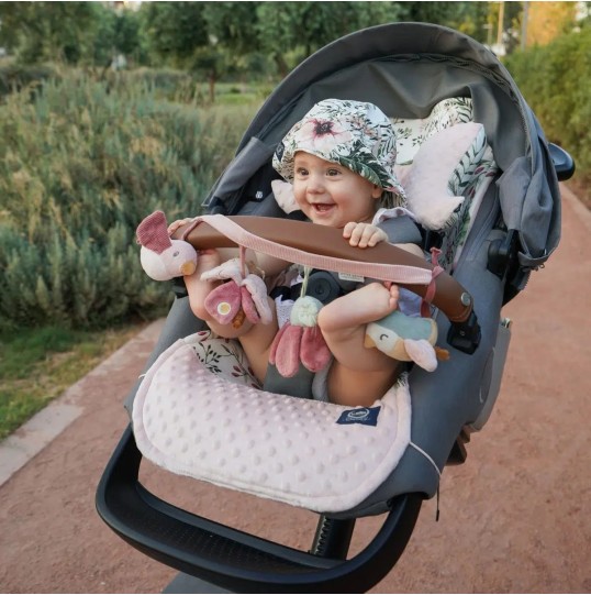 ΠΡΟΣΤΑΤΕΥΤΙΚΟ ΚΑΡΟΤΣΙΟΥ MOM CHERIE VELVET RAFAELLO MULTI